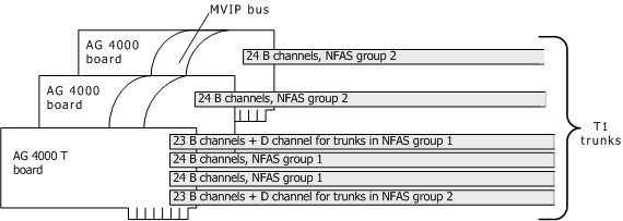 nfas2.gif
