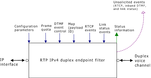 RTP IPv4 full duplex endpoint filter